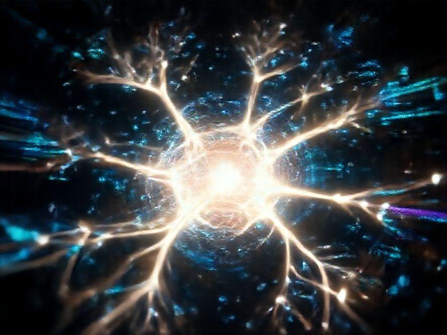 LLM黑盒优化技术解析：2024实现指南与案例详解