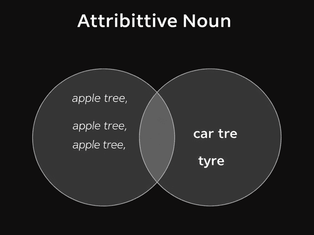 英语语法指南:2024年属性名词与复合名词实用区分技巧